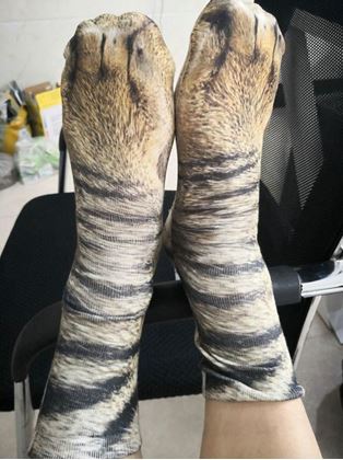 Obrázek z Zvířecí ponožky