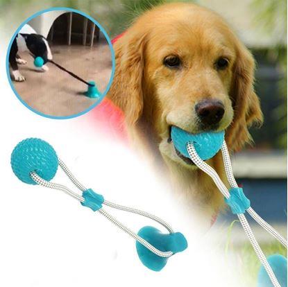 Obrázek Hračka pro psy na čištění zubů