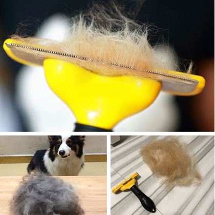 Furminator pro kočky