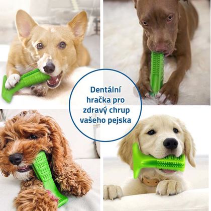 zubní kartáček pro psy