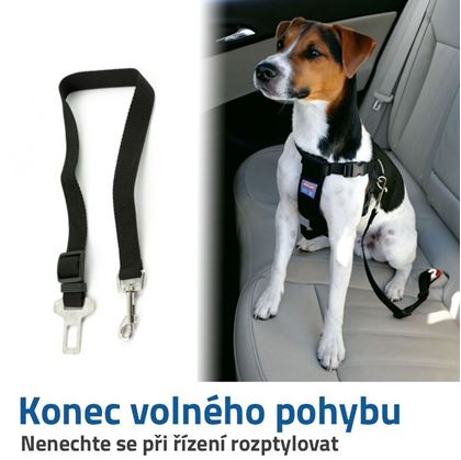 bezpečnostní pás pro psa