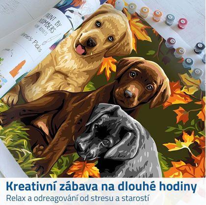malování podle čísel