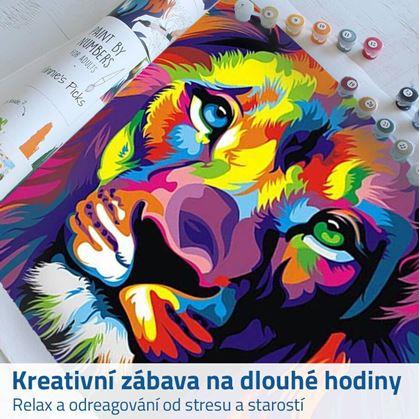 malování podle čísel