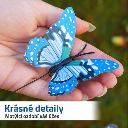 Čelenka s detaily motýl