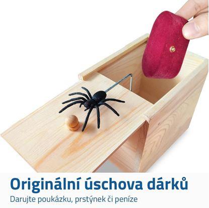 Obrázek Pavouk v krabičce