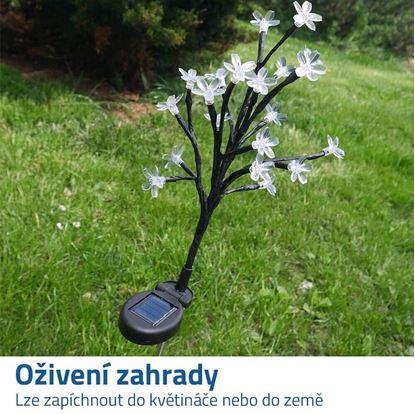 Solární zápich strom