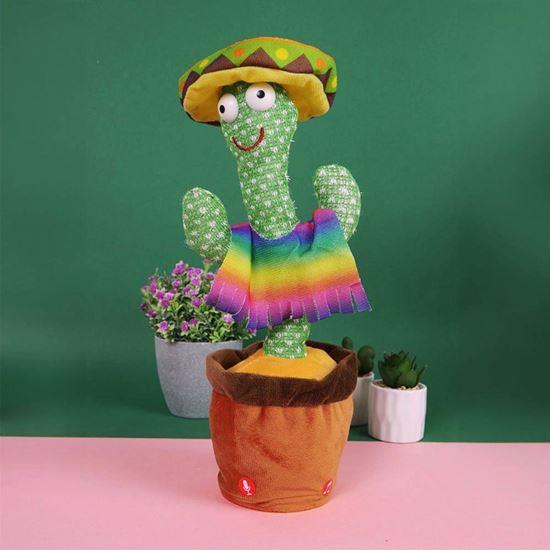 mluvící a zpívající kaktus