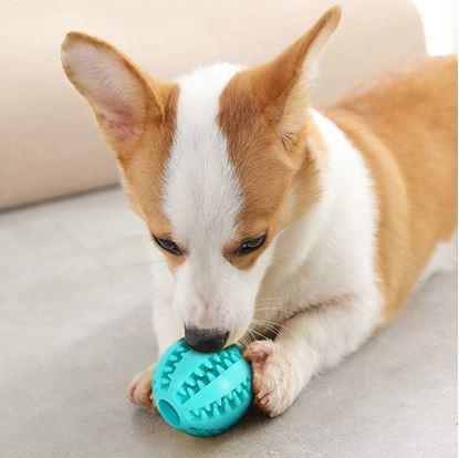 Žvýkací míček pro psy na čištění zubů