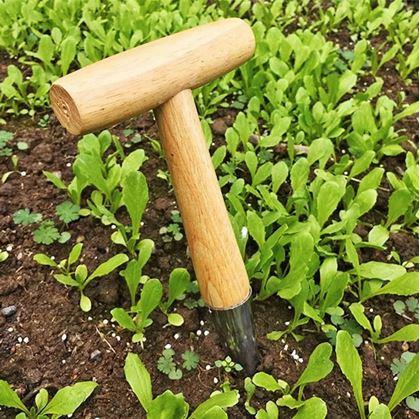 Obrázek z Sázecí kolík