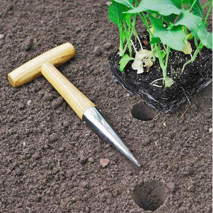 Obrázek z Sázecí kolík