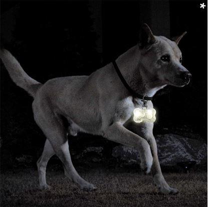 Obrázek Svítící LED přívěsek na obojek