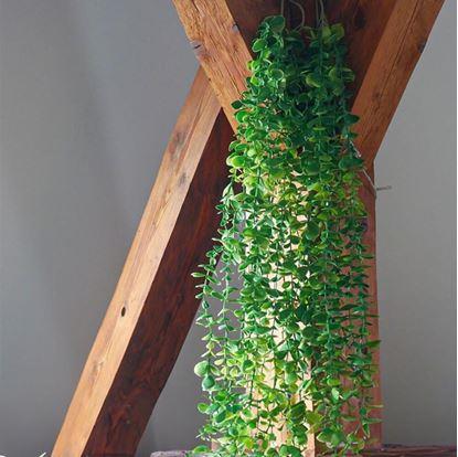 Obrázek Umělá závěsná rostlina 124 cm