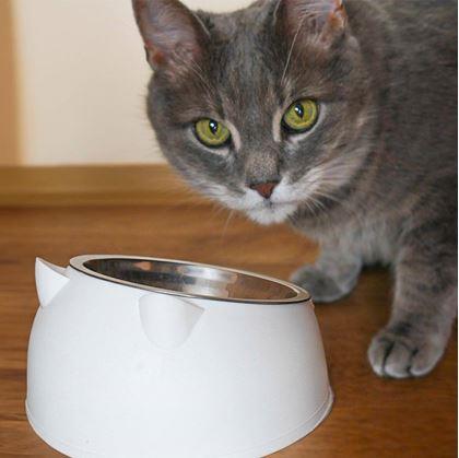 Obrázek z Miska pro kočky 2v1