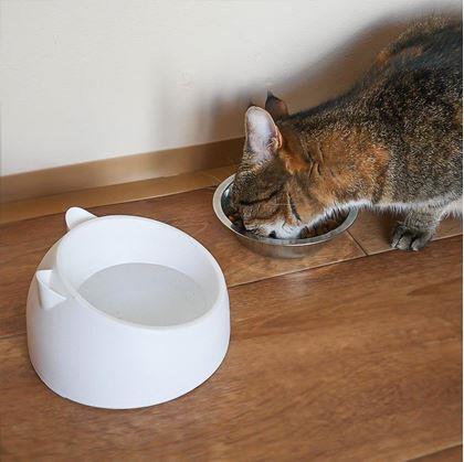 Obrázek z Miska pro kočky 2v1