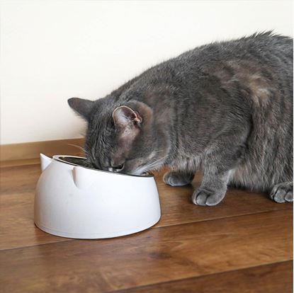 Obrázek Miska pro kočky 2v1