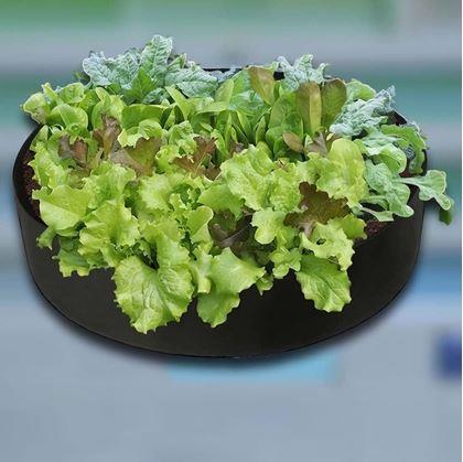 Obrázek z Textilní záhon 140 l, 80 x 30 cm