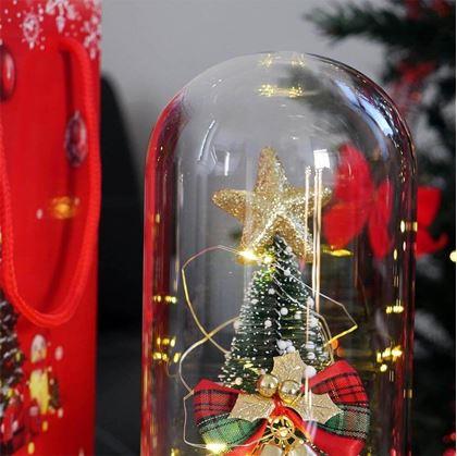 Obrázek z Svítící vánoční stromeček ve skleněné váze v dárkovém balení