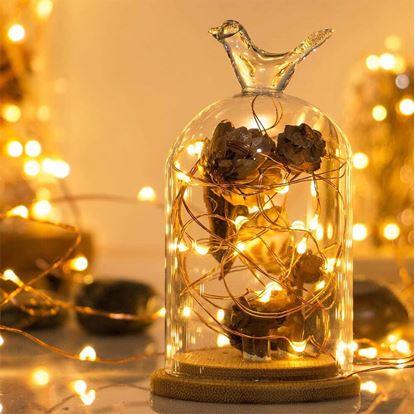 Obrázek Světelný řetěz s dálkovým ovladačem, barevné/teplé/studené světlo, 5 m