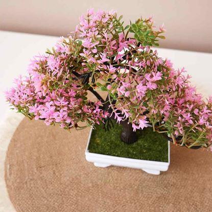 Obrázek Umělá bonsai