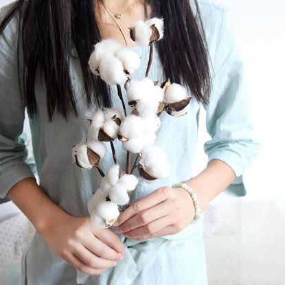 Obrázek Umělá větvička bavlníku 50 cm