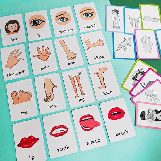 Obrázek z Sada 36 výukových kartiček v angličtině - části těla