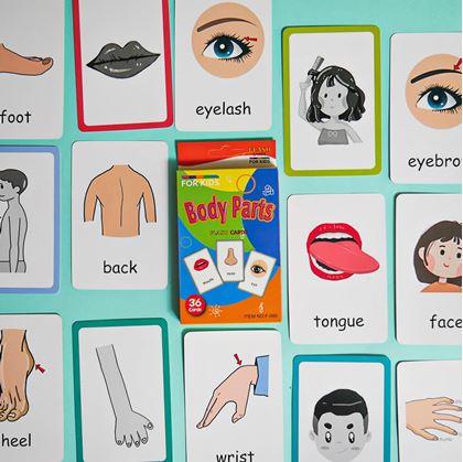 Obrázek z Sada 36 výukových kartiček v angličtině - části těla