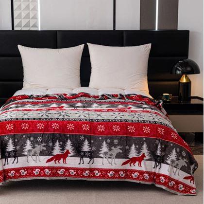 Obrázek z Vánoční mikroplyšová deka lesní království 150 x 200 cm