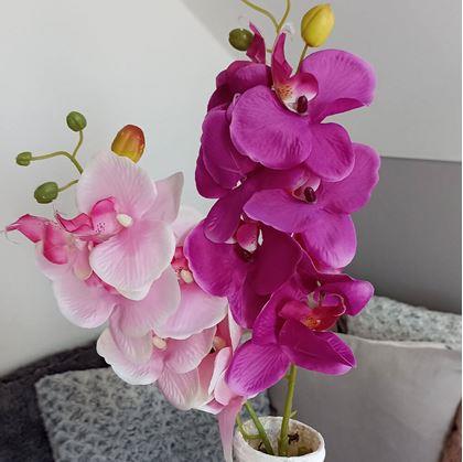 Obrázek z Umělé květiny orchidej - tmavě růžová