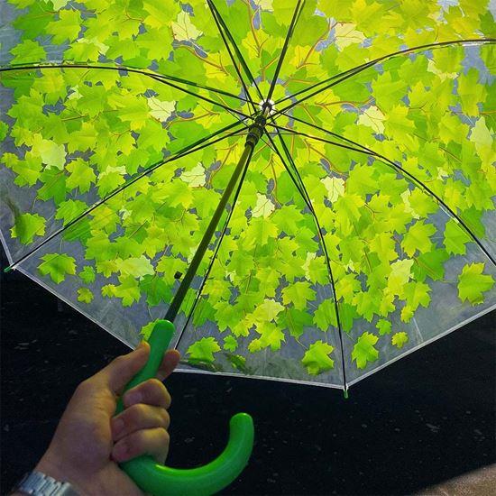Obrázek z Průhledný deštník - zelené listy