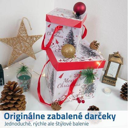 Obrázek z Dárková krabička 22 cm - červená