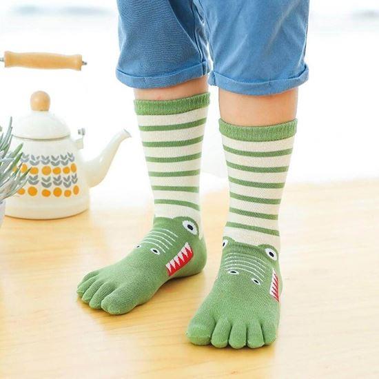 Obrázek z Dětské prstové ponožky - vel. 19-24 cm - krokodýl