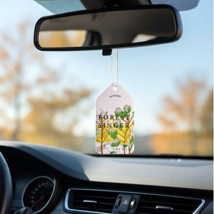 Obrázek z Vonítko do auta  - borovice