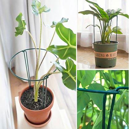 Obrázek z 2 ks Kovové podpěry rostlin 35 cm