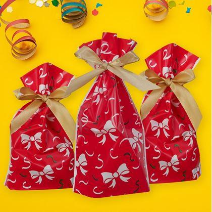 Obrázek z Dárkové sáčky s mašlí 10 ks - L