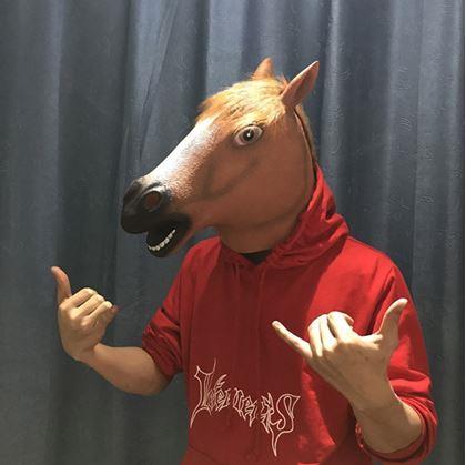 Obrázek z Maska - hlava koně