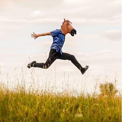 Obrázek z Maska - hlava koně