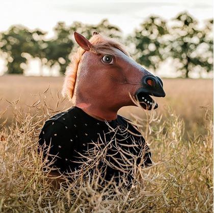 Obrázek z Maska - hlava koně