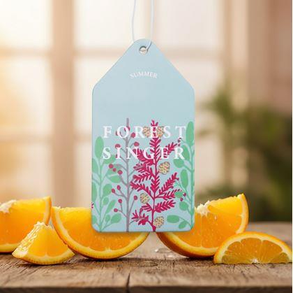 Obrázek z Vonítko do auta  - pomeranč