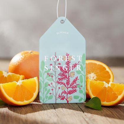 Obrázek z Aroma vůně do auta  - pomeranč