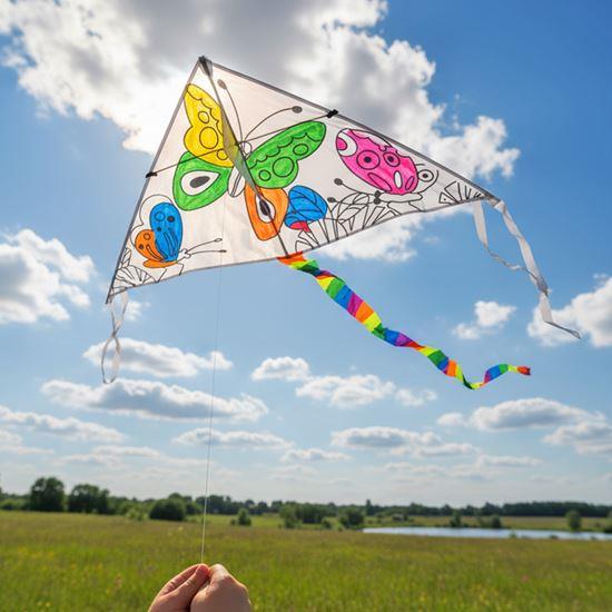 Obrázek z Létající drak k vybarvení - motýlci