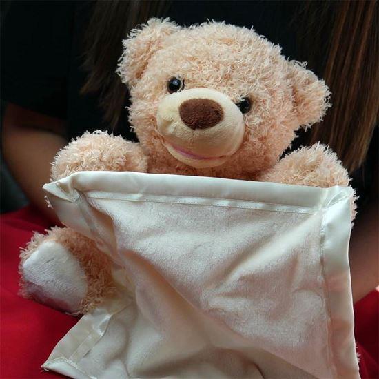 Obrázek z Interaktivní mluvící medvídek