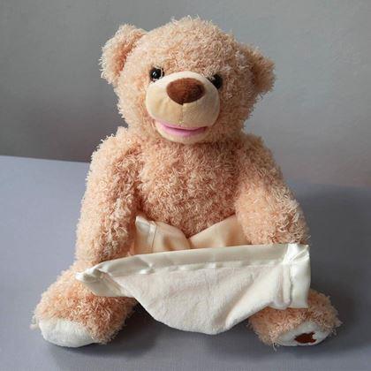 Obrázek z Interaktivní mluvící medvídek