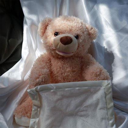 Obrázek z Interaktivní mluvící medvídek