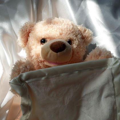 Obrázek z Interaktivní mluvící medvídek