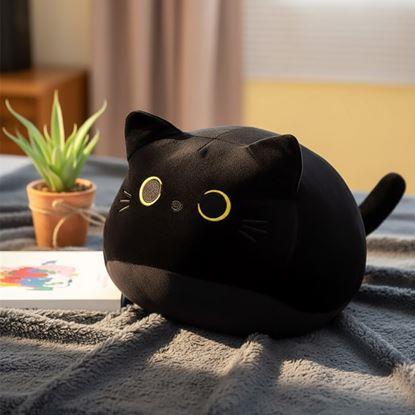 Obrázek Polštář černá kočka