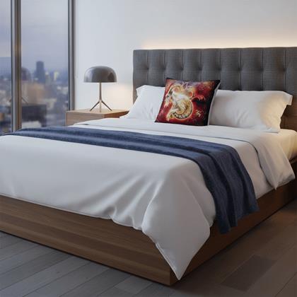 Obrázek z Povlak na polštářek znamení - kozoroh