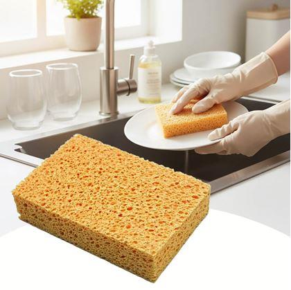 Obrázek z Přírodní eko houbička na nádobí