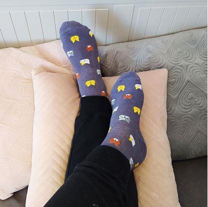 Obrázek Ponožky s kočičkami