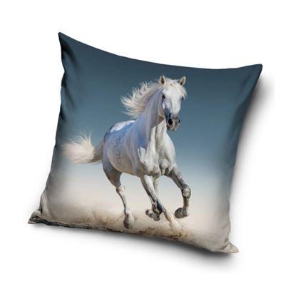 Obrázek Povlak na polštářek - Kůň Bělouš