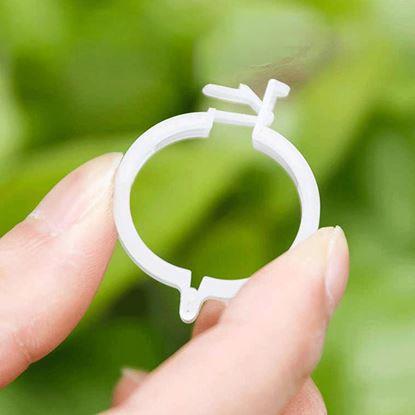 Obrázek Klipy/pásky pro uchycení rostlin 50 ks